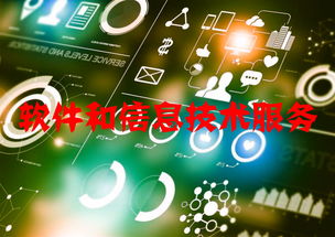 軟件和信息技術(shù)服務(wù)行業(yè)運(yùn)行態(tài)勢(shì)與競(jìng)爭(zhēng)格局分析——聚焦信息技術(shù)咨詢服務(wù)